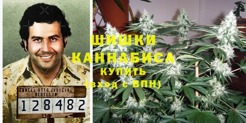 Марихуана SATIVA & INDICA  наркотики  Бийск 